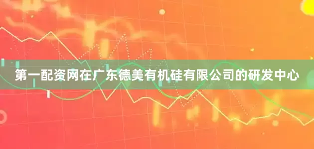 第一配资网在广东德美有机硅有限公司的研发中心