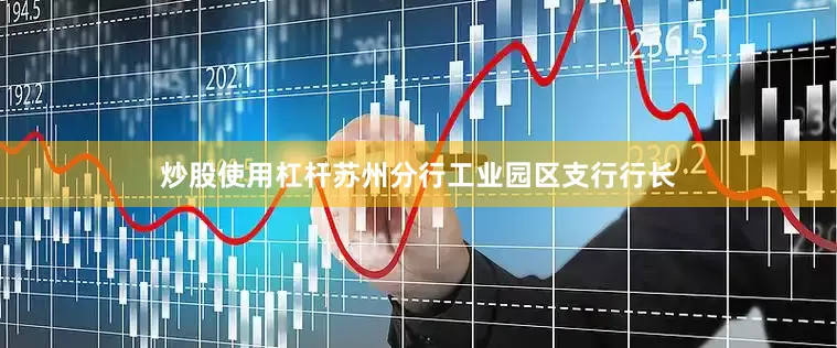 炒股使用杠杆苏州分行工业园区支行行长