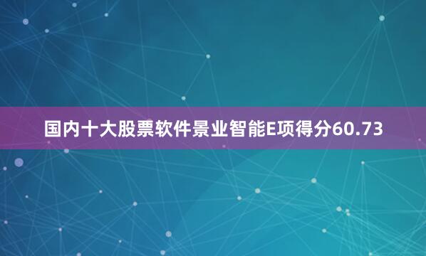 国内十大股票软件景业智能E项得分60.73