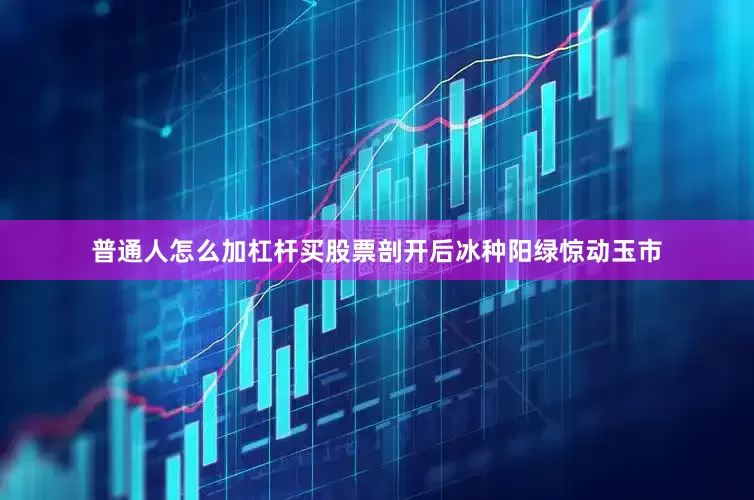 普通人怎么加杠杆买股票剖开后冰种阳绿惊动玉市