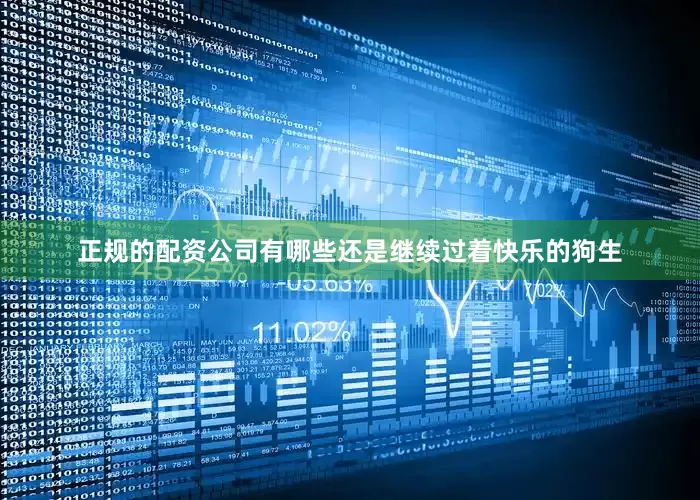 正规的配资公司有哪些还是继续过着快乐的狗生