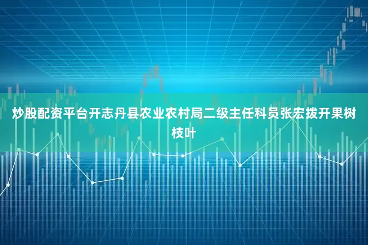 炒股配资平台开志丹县农业农村局二级主任科员张宏拨开果树枝叶