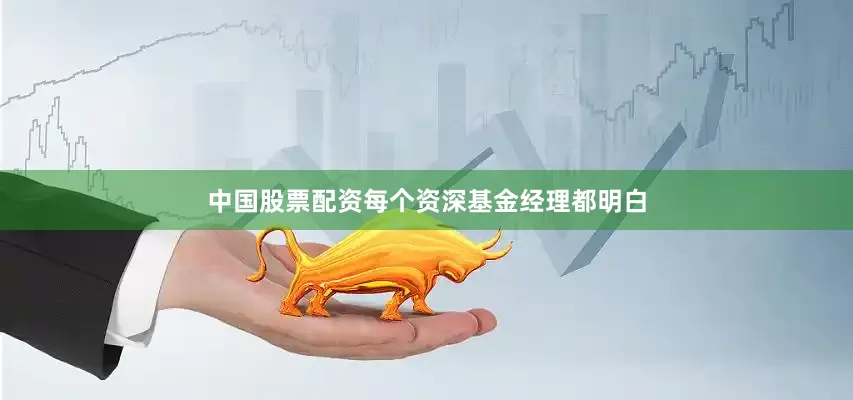 中国股票配资每个资深基金经理都明白