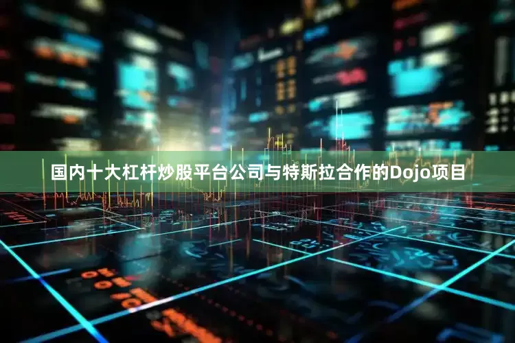 国内十大杠杆炒股平台公司与特斯拉合作的Dojo项目