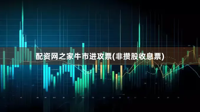 配资网之家牛市进攻票(非攒股收息票)