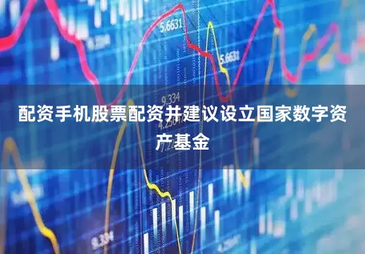 配资手机股票配资并建议设立国家数字资产基金